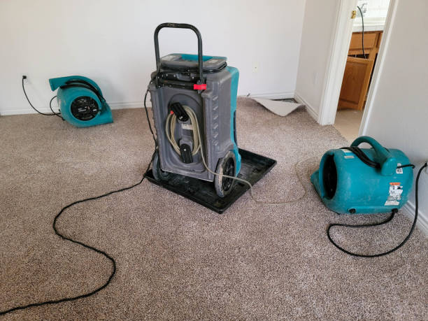 Best Flood restoration services  in Baxter Springs, KS