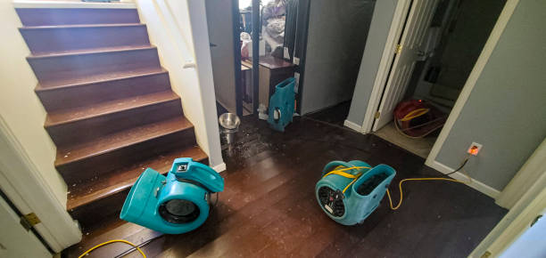 Best Mold removal after water damage  in Baxter Springs, KS