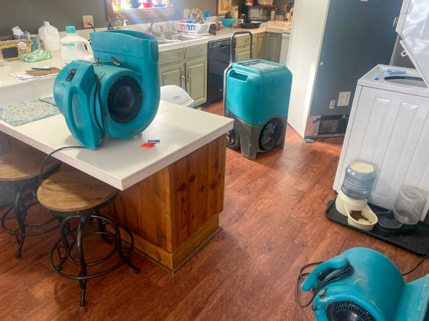 Best Water damage cleanup near me  in Baxter Springs, KS