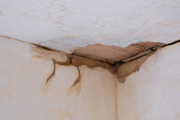 Best Water damage restoration specialists  in Baxter Springs, KS