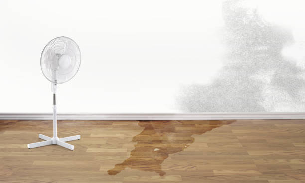 Best Residential water damage restoration  in Baxter Springs, KS