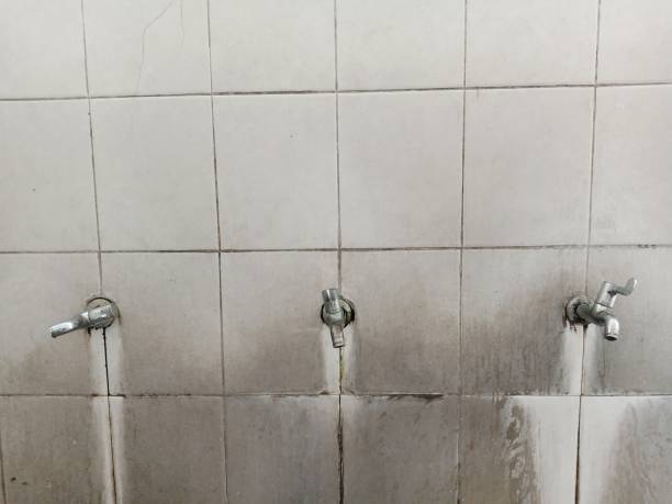 Best Ceiling water damage repair  in Baxter Springs, KS