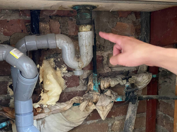 Best Flood damage cleanup  in Baxter Springs, KS