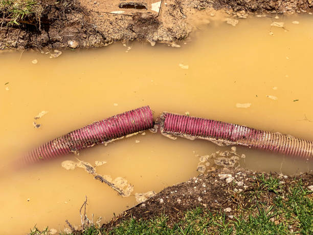 Best Water damage contractors near me  in Baxter Springs, KS